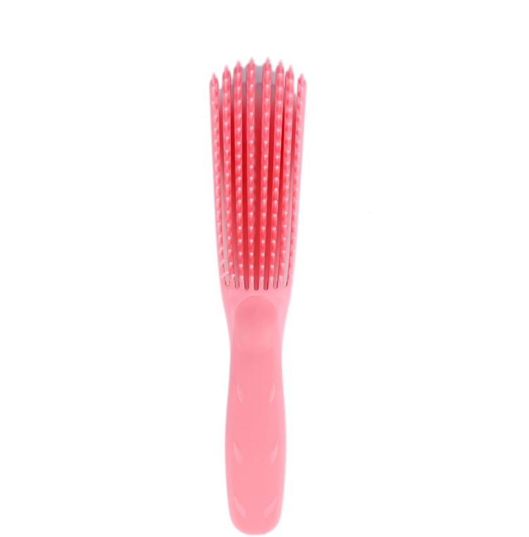 Detangling Brush for Curly Hair